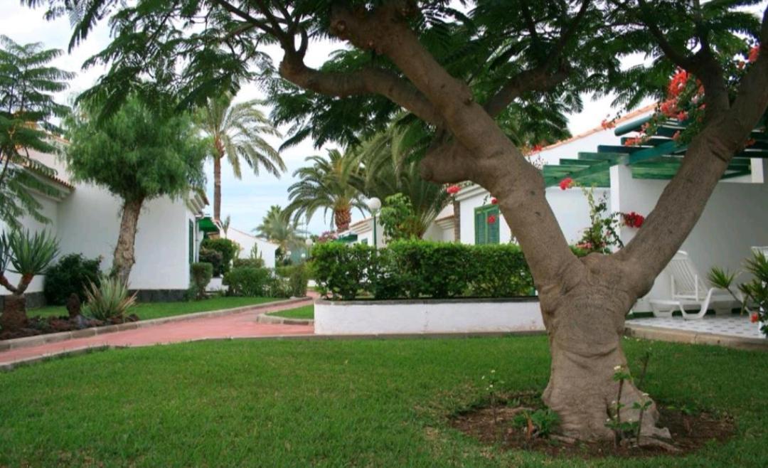 Maspalomas Dunas Golf Exterior photo